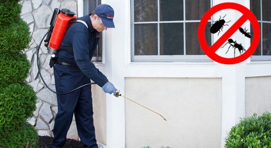 Karakeçili Pire İlaçlama böcek ilaçlama ve haşere kontrolü — ilaclama-tr.com